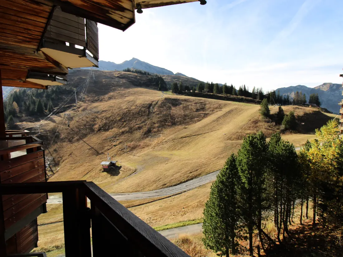 Location de Vacances Avoriaz 143