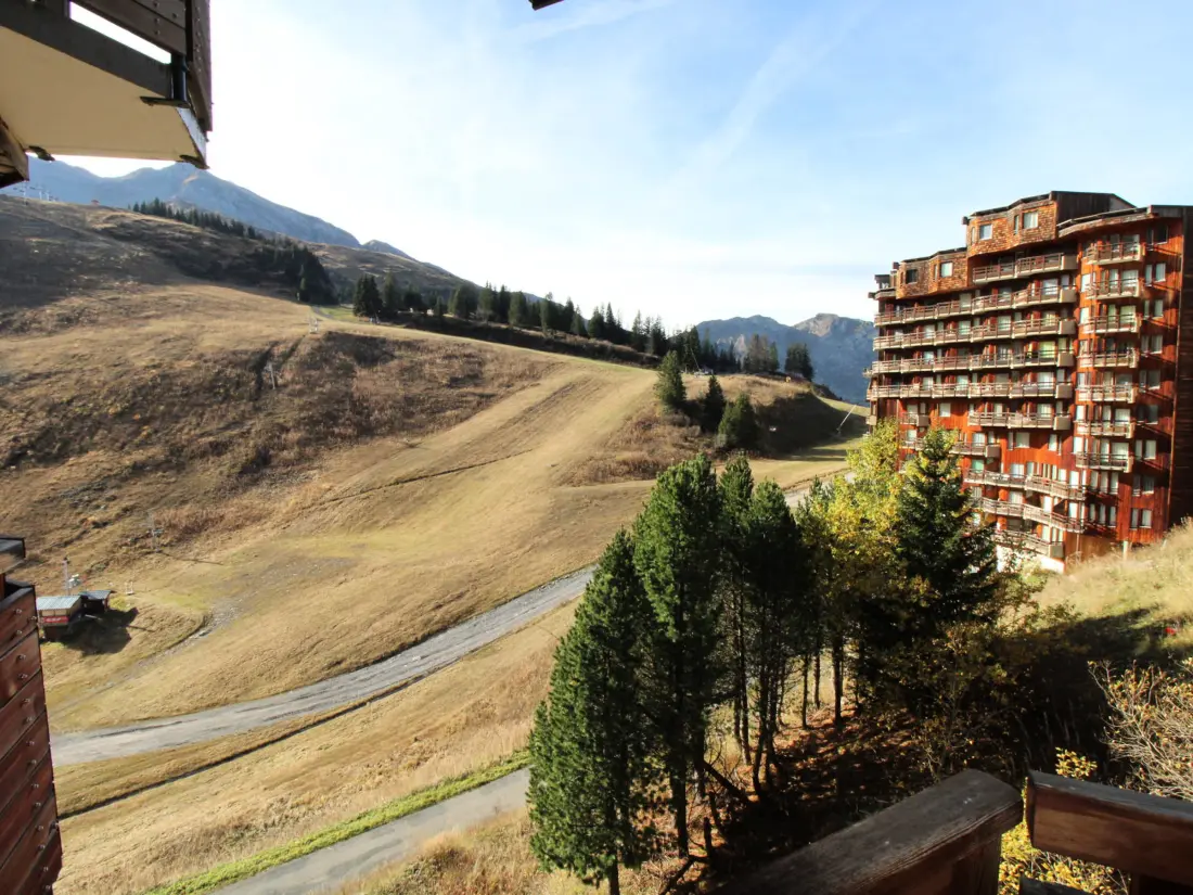 Location de Vacances Avoriaz 143