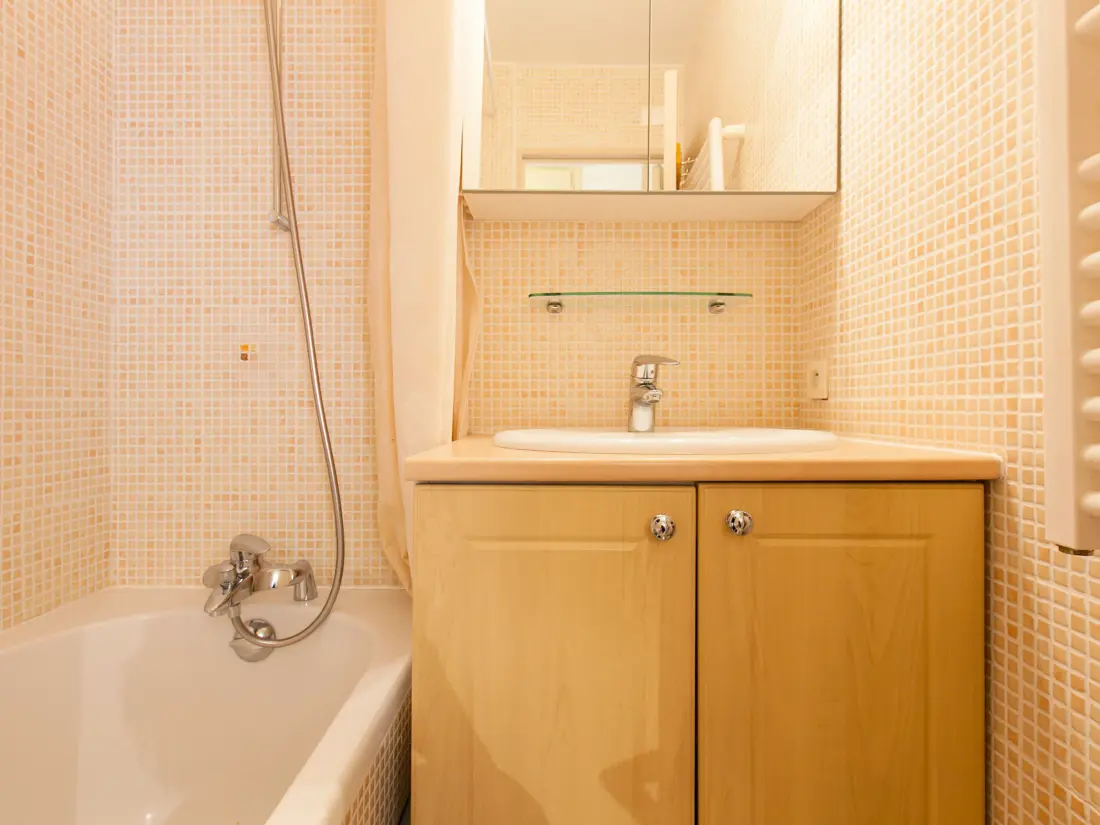Location de Vacances Avoriaz 245
