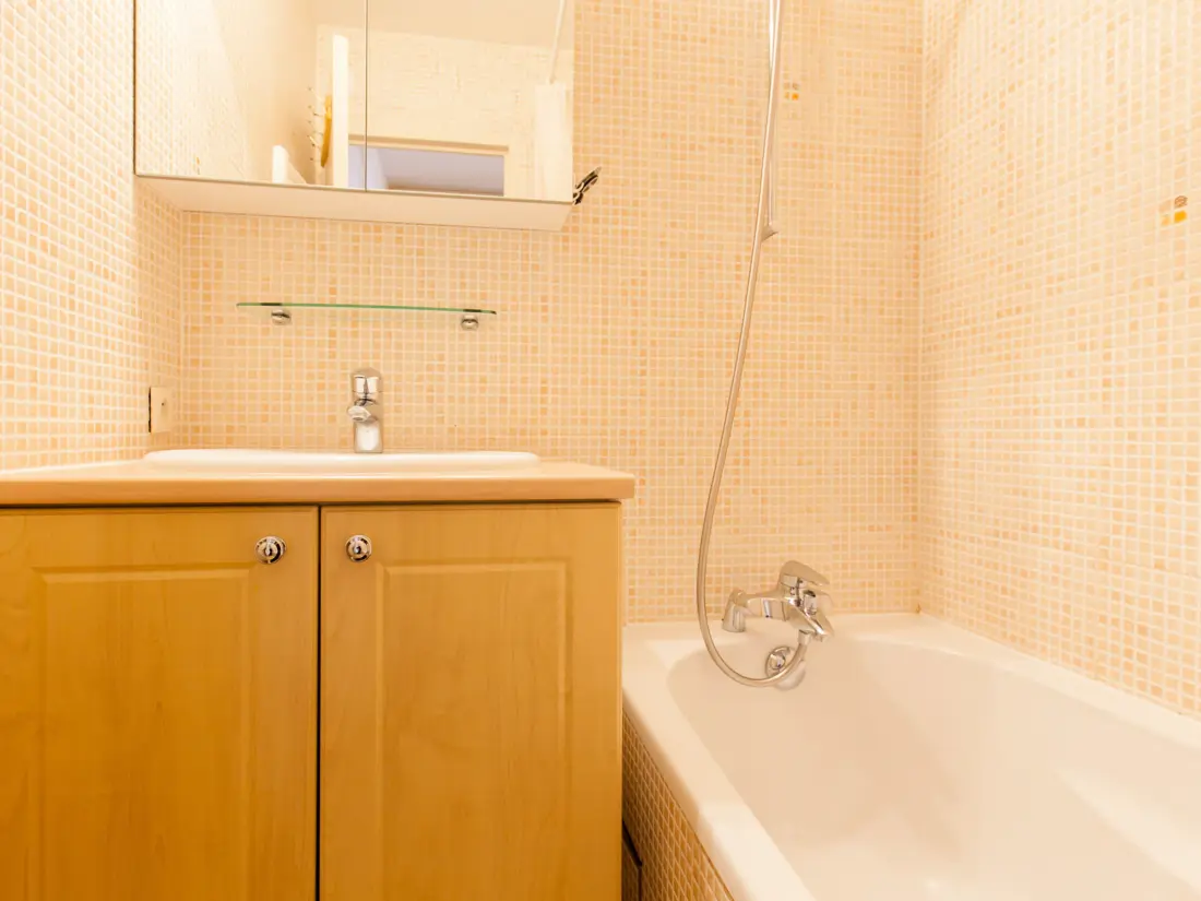 Location de Vacances Avoriaz 251