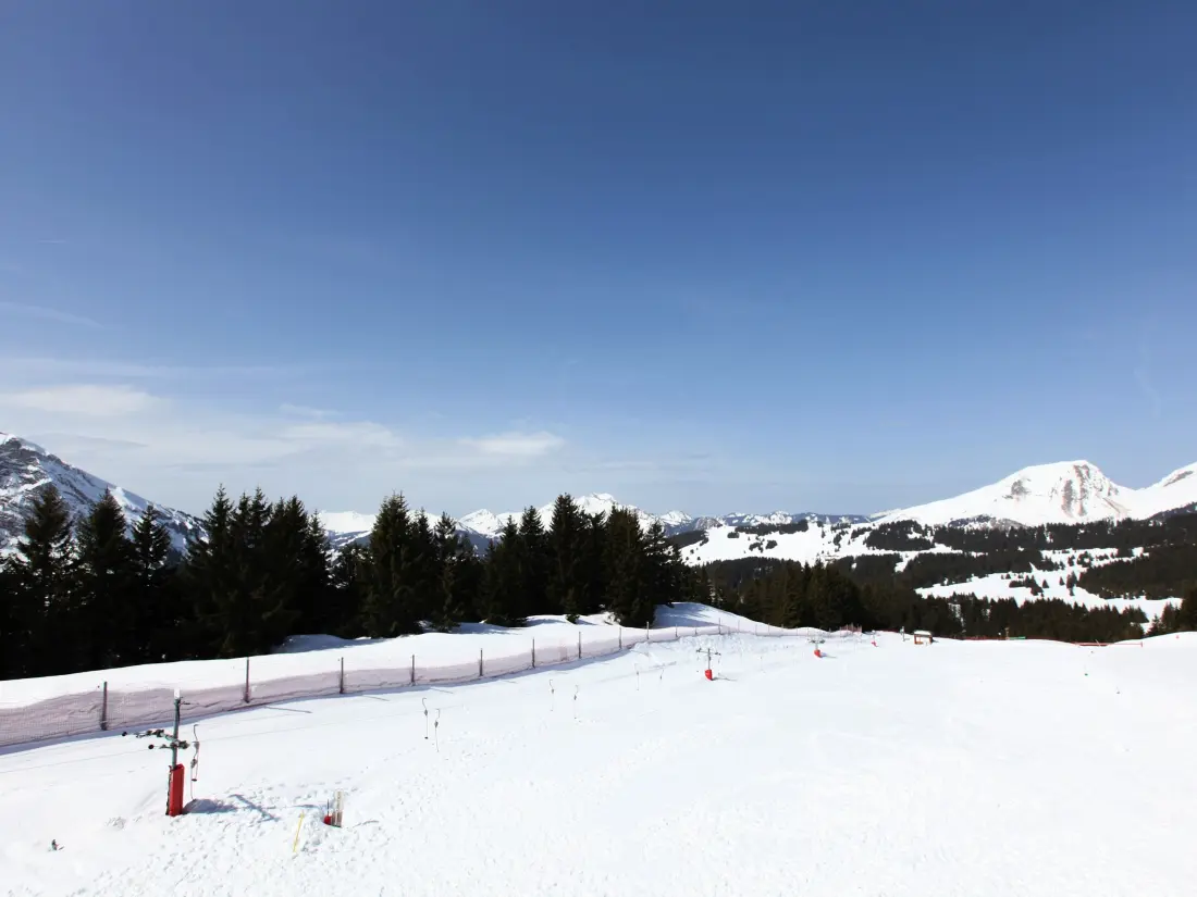 Location de Vacances Avoriaz 401