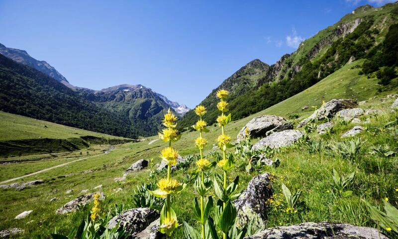 France - Pyrénées - Ax les Thermes - Le Malazéou Wellnesse Sport Camping