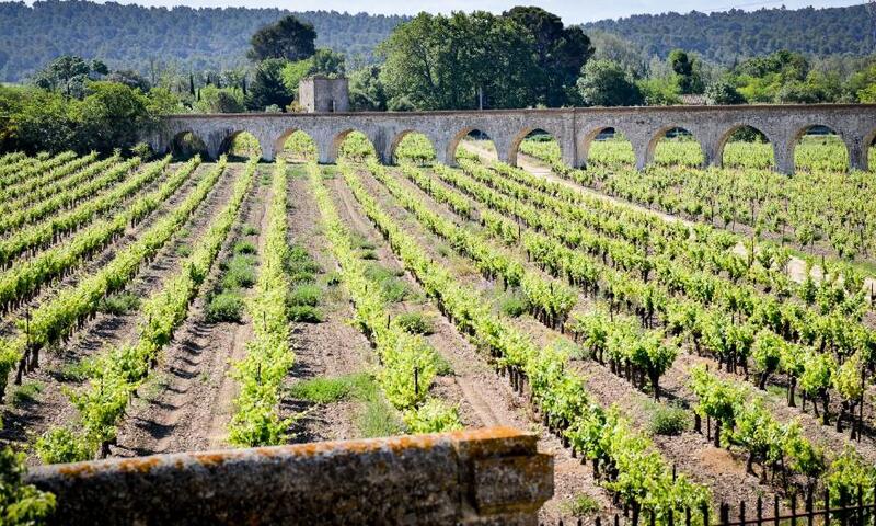 France - Languedoc - Azille - Résidence Le Château de Jouarres 3*