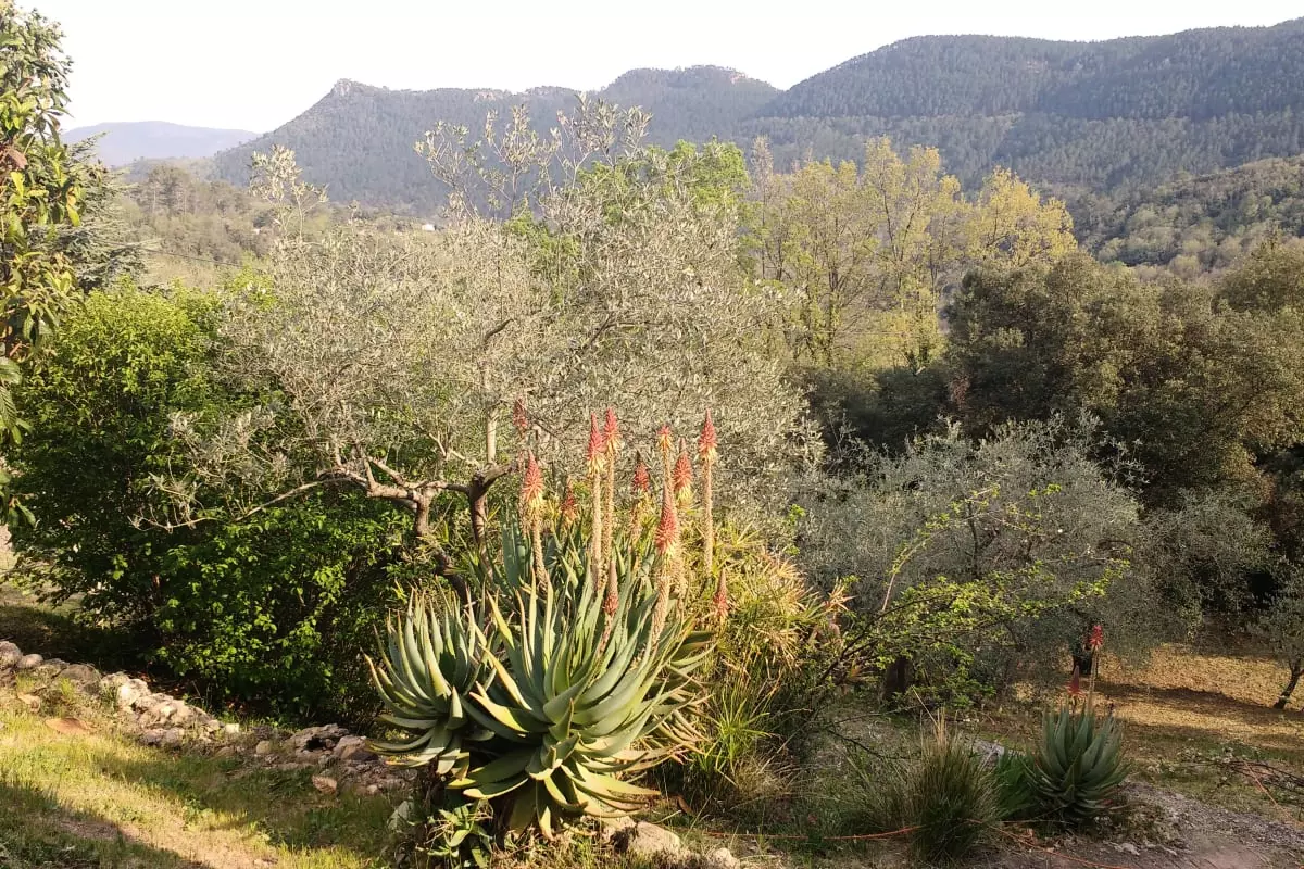Maison 3 Chambres Avec Vue - - Bagnols en Forêt - 17