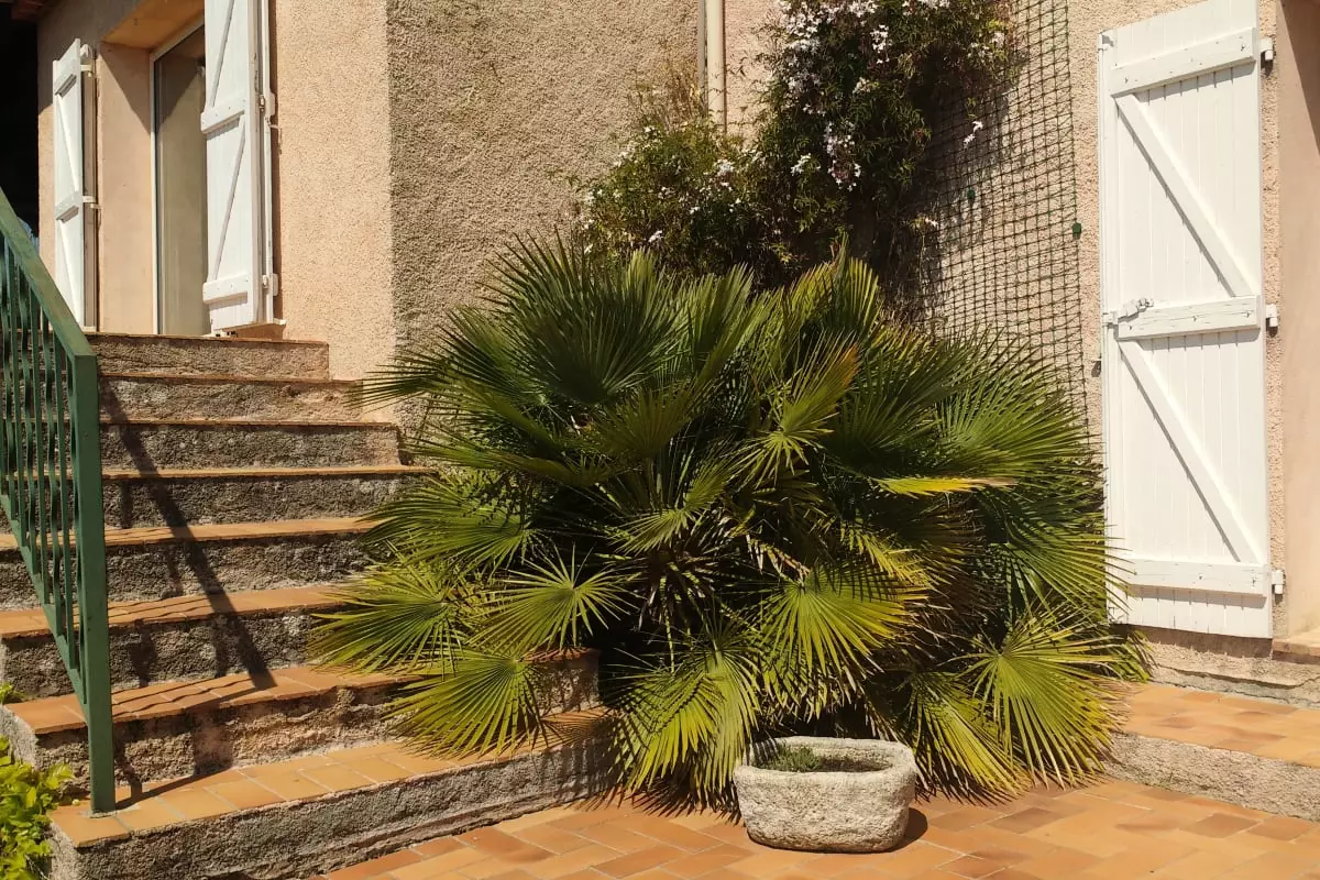 Maison 3 Chambres Avec Vue - - Bagnols en Forêt - 15