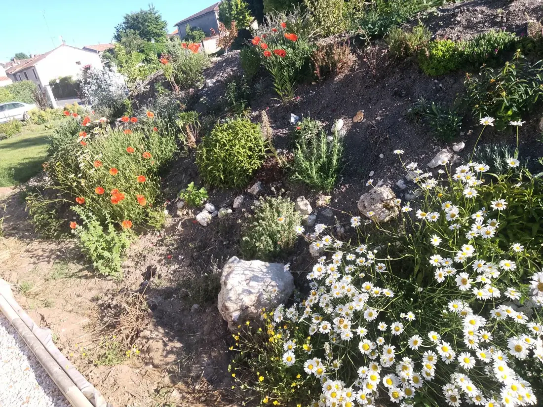 Maison de Vacances Baignes-Sainte-Radegonde 4