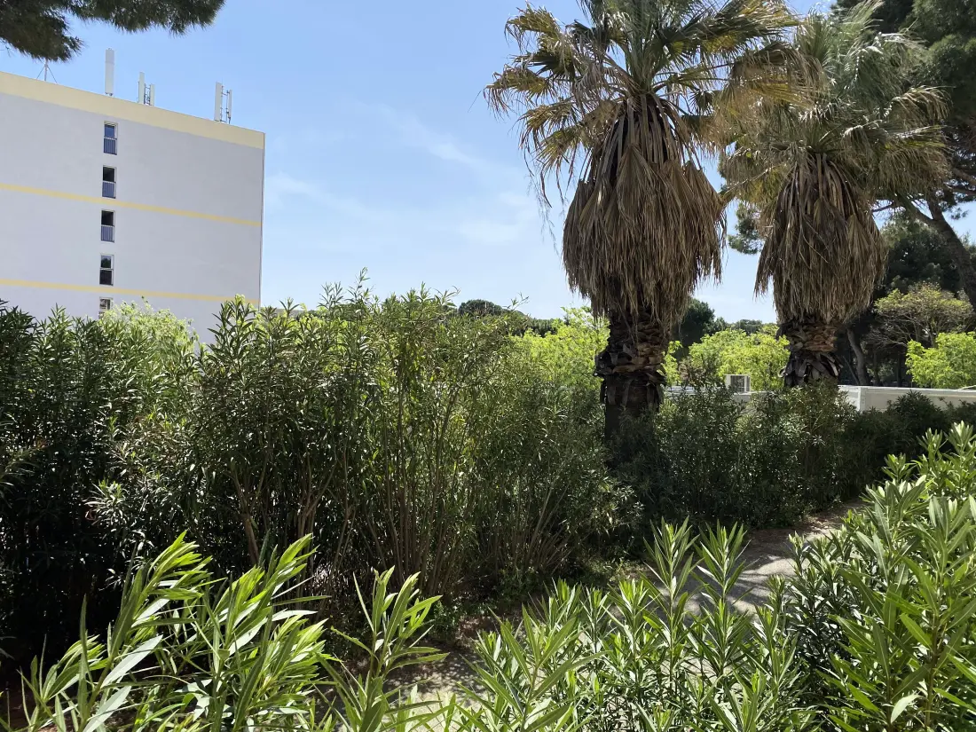 Location de Vacances Balaruc-les-Bains 180