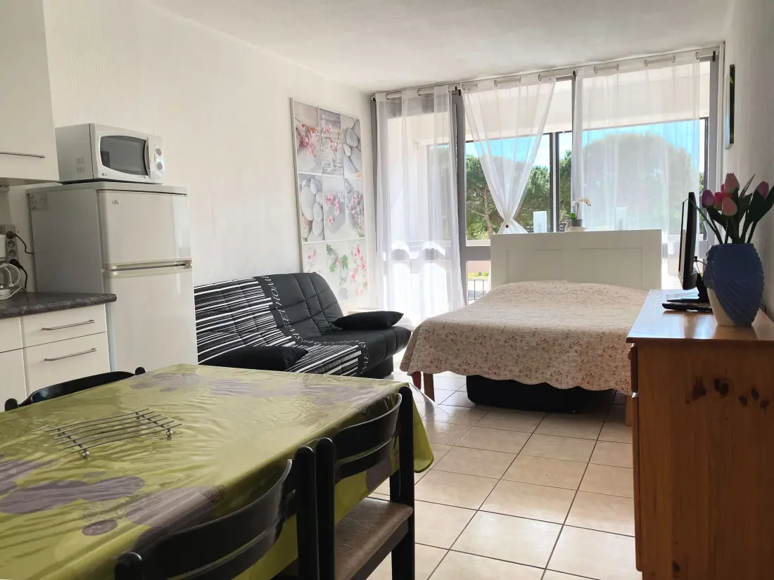 Location de Vacances Balaruc-les-Bains 241