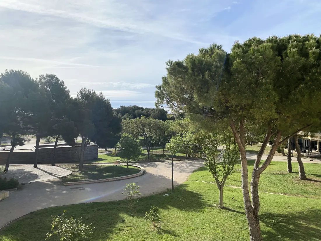 Location de Vacances Balaruc-les-Bains 283