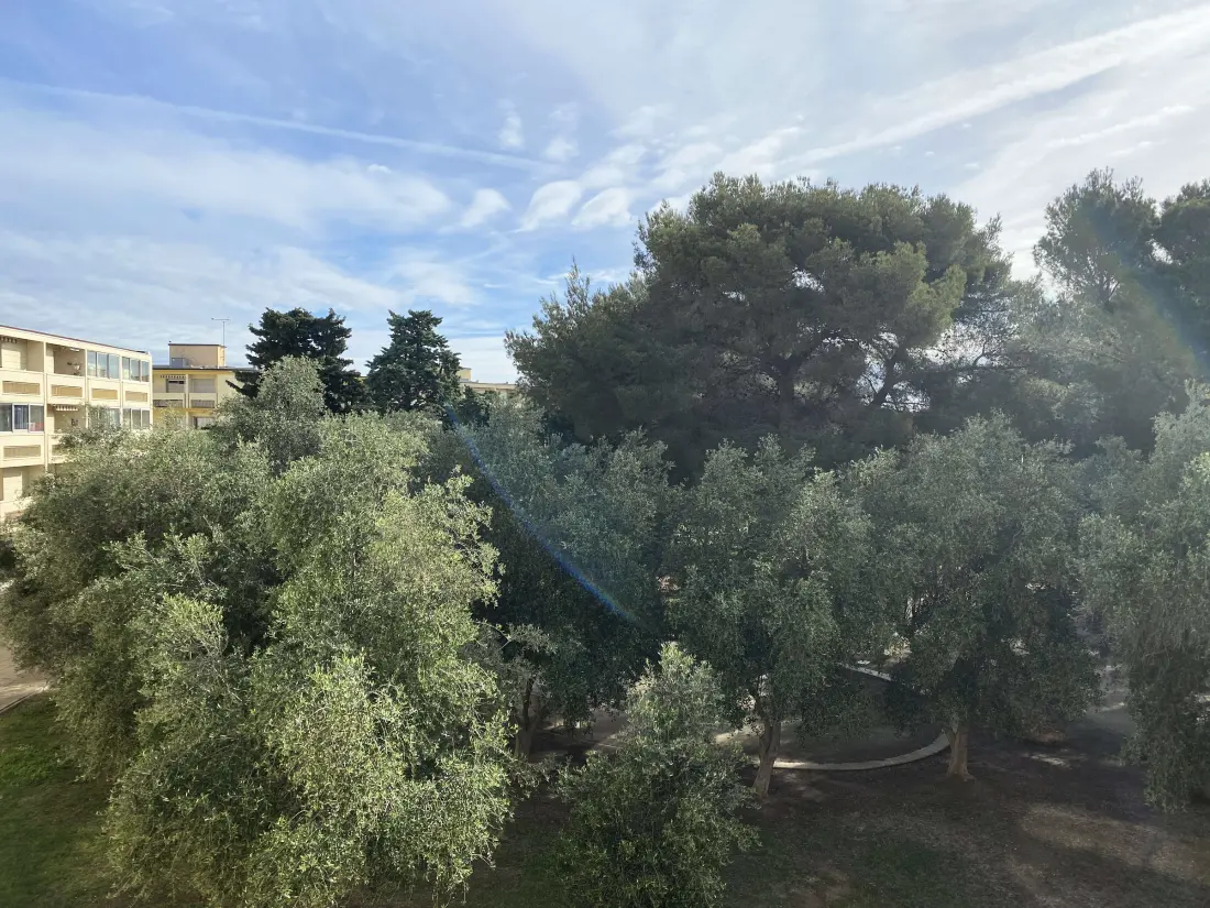 Location de Vacances Balaruc-les-Bains 283