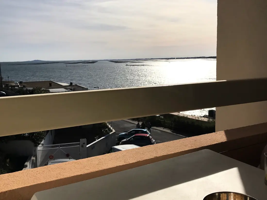 Location de Vacances Balaruc-les-Bains 399