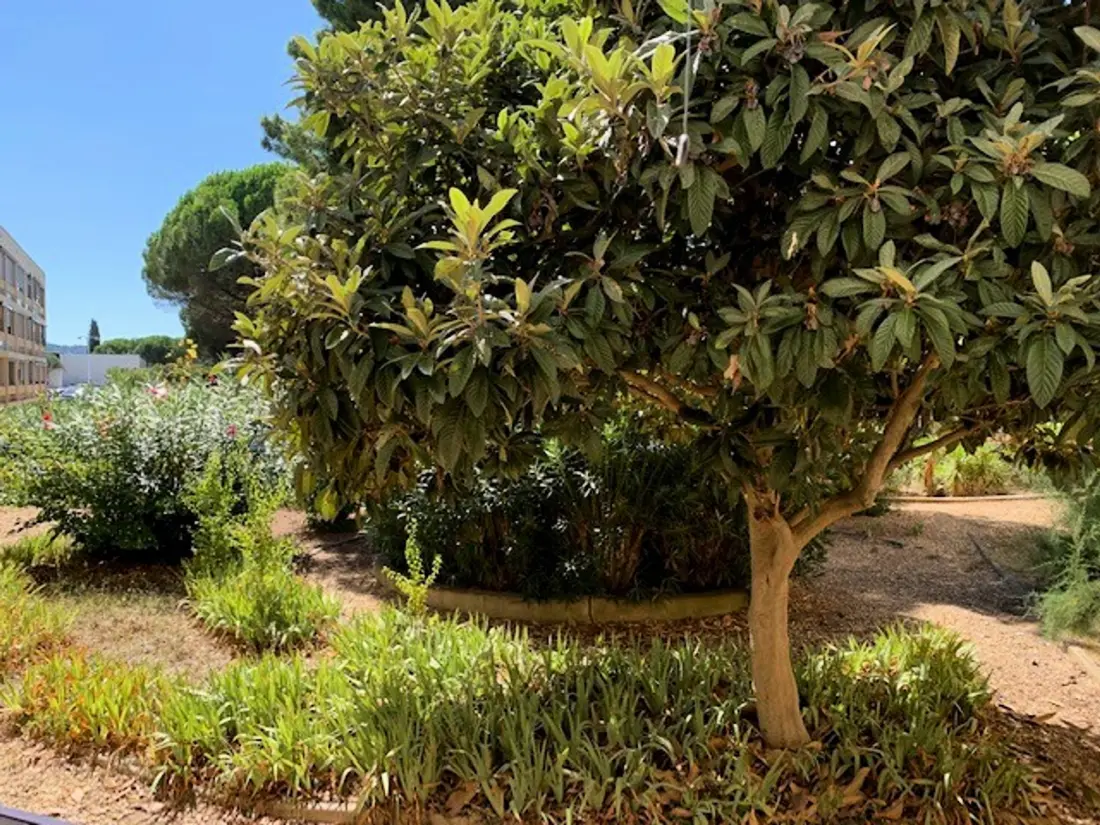 Location de Vacances Balaruc-les-Bains 47
