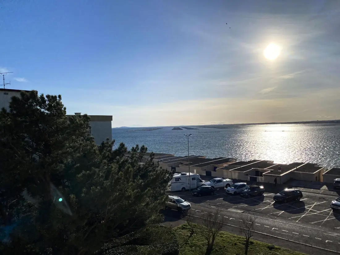Location de Vacances Balaruc-les-Bains 473