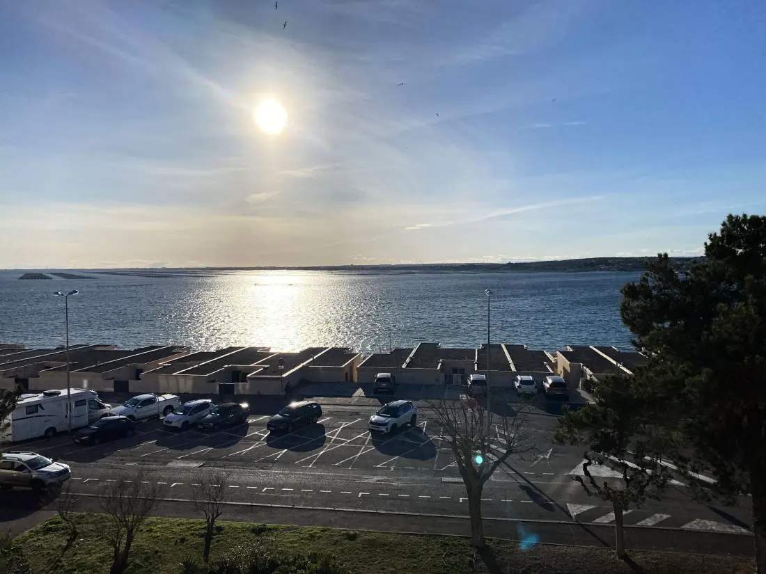 Location de Vacances Balaruc-les-Bains 473