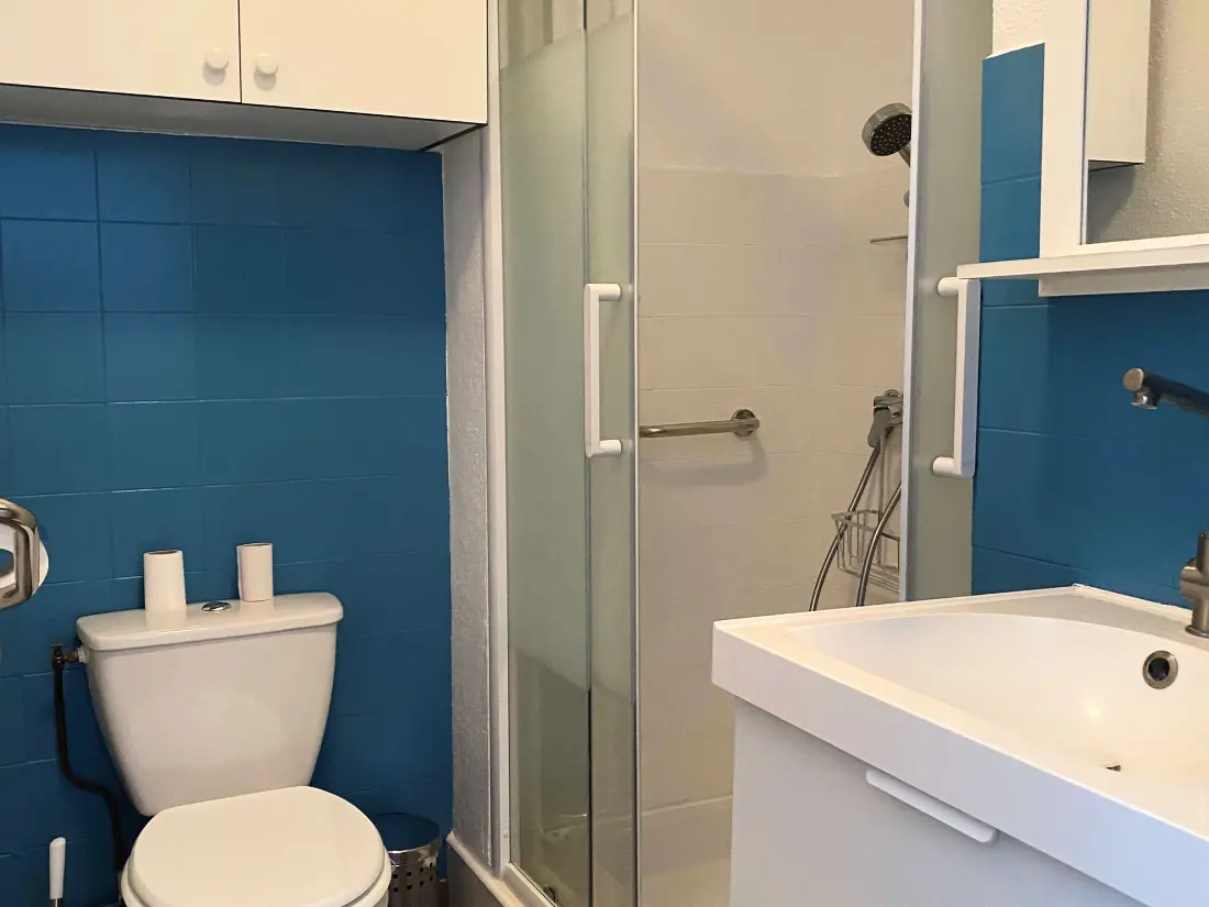 Location de Vacances Balaruc-les-Bains 491