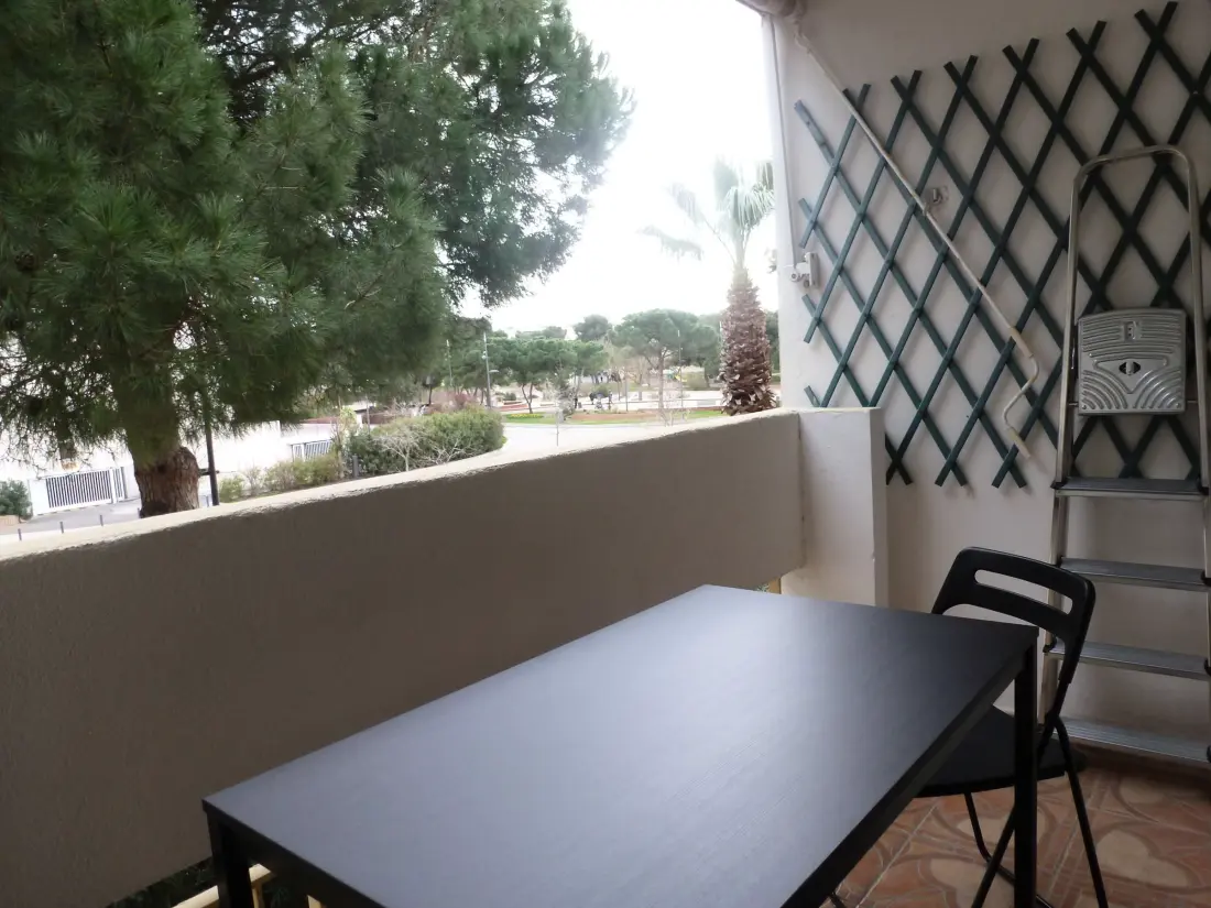 Location de Vacances Balaruc-les-Bains 498