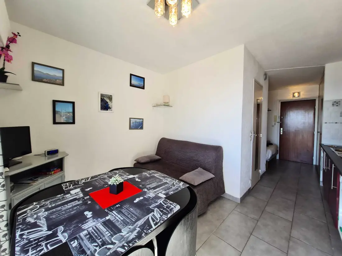 Location de Vacances Balaruc-les-Bains 501