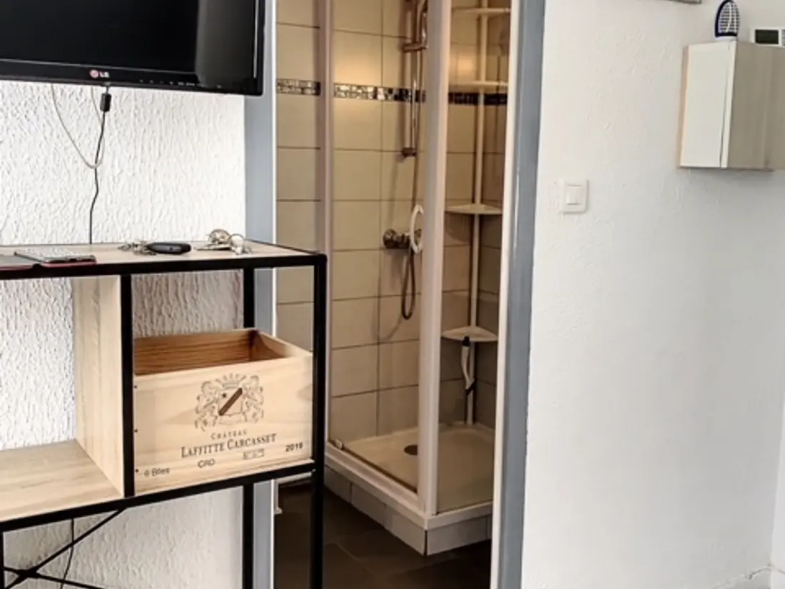 Location de Vacances Balaruc-les-Bains 502