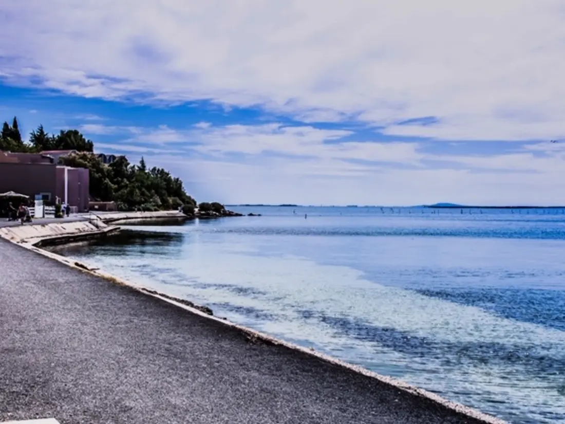Location de Vacances Balaruc-les-Bains 514
