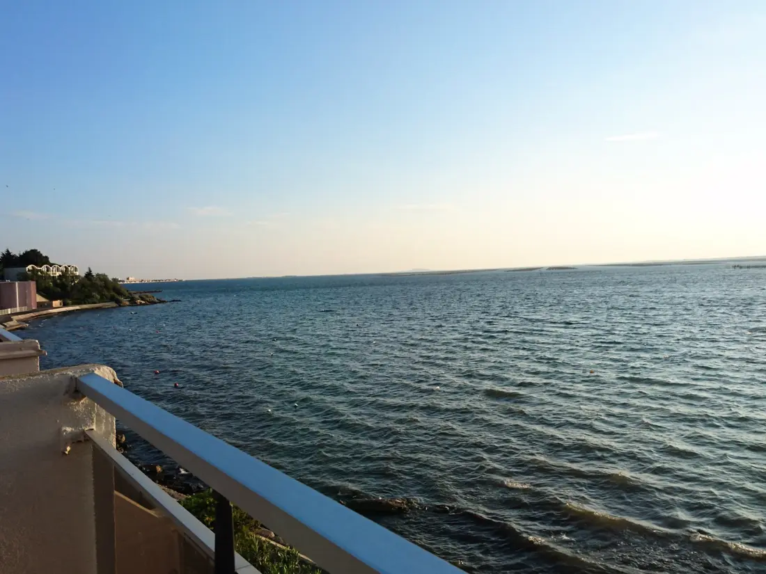 Location de Vacances Balaruc-les-Bains 516