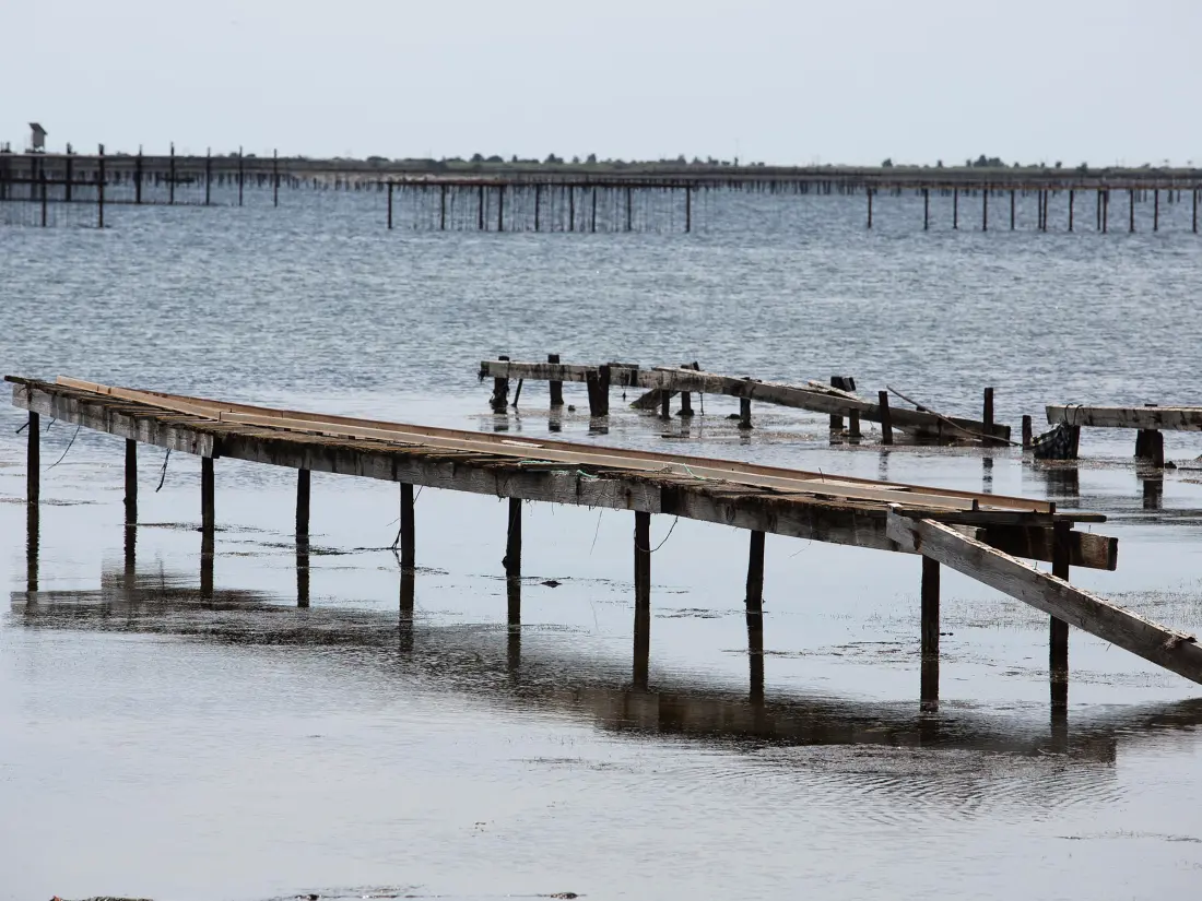 Location de Vacances Balaruc-les-Bains 525
