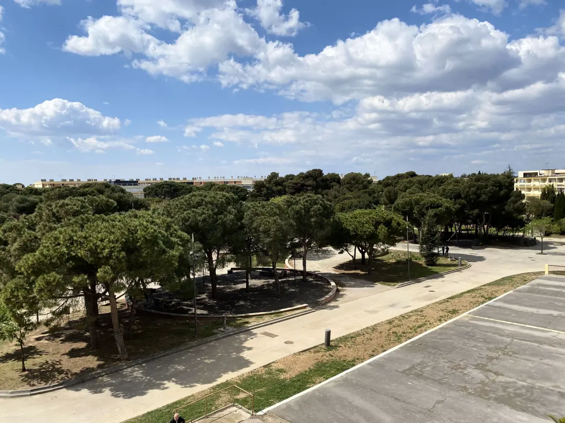 Location de Vacances Balaruc-les-Bains 528