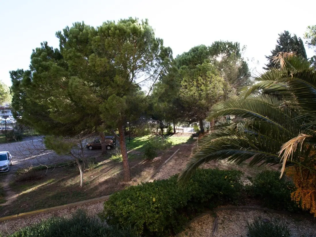Location de Vacances Balaruc-les-Bains 537