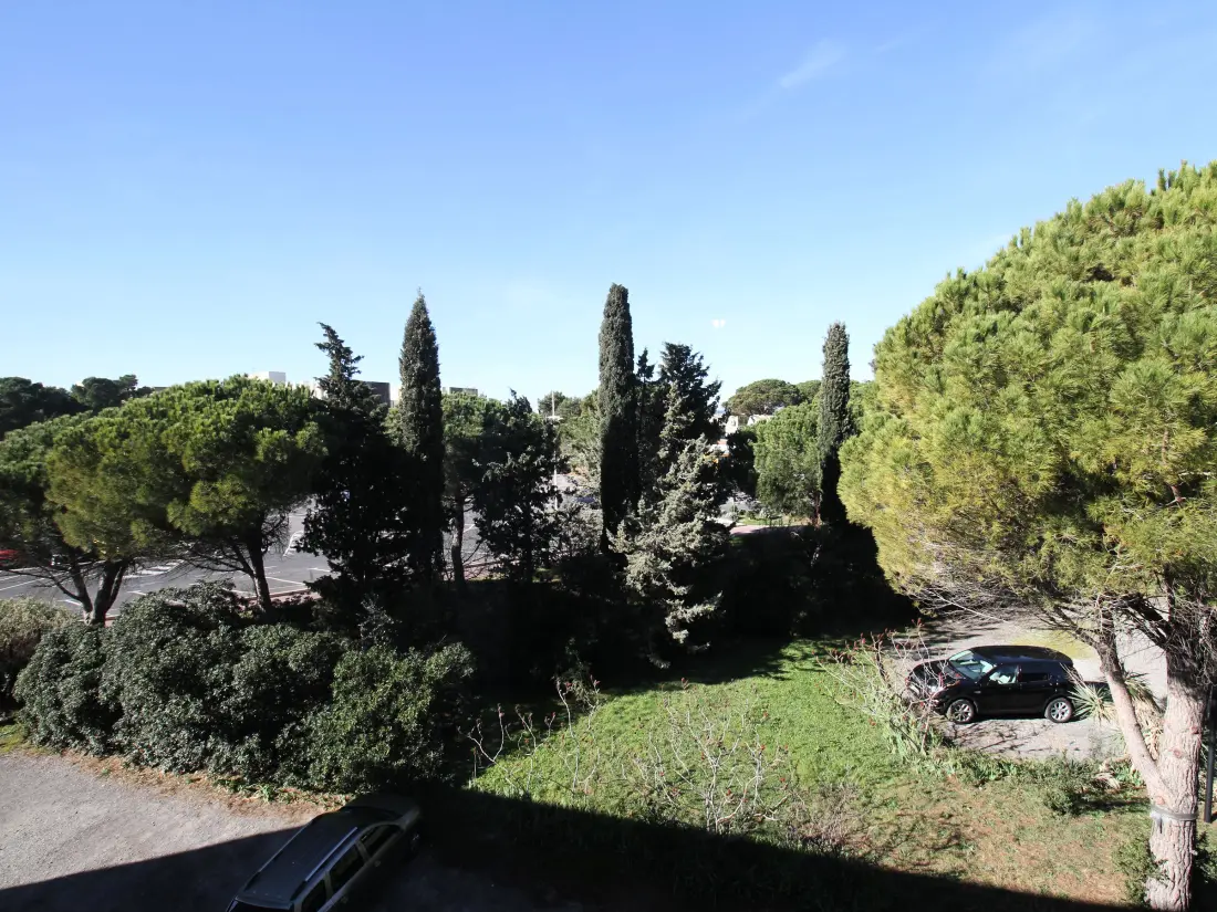 Location de Vacances Balaruc-les-Bains 552