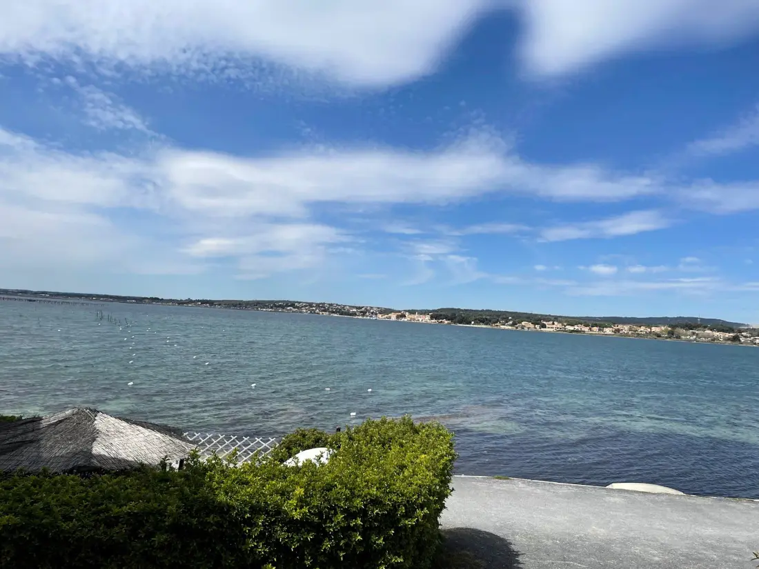 Location de Vacances Balaruc-les-Bains 565