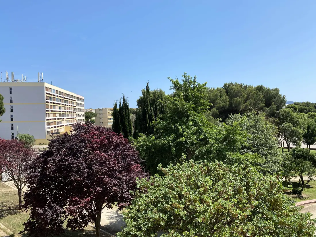 Location de Vacances Balaruc-les-Bains 573