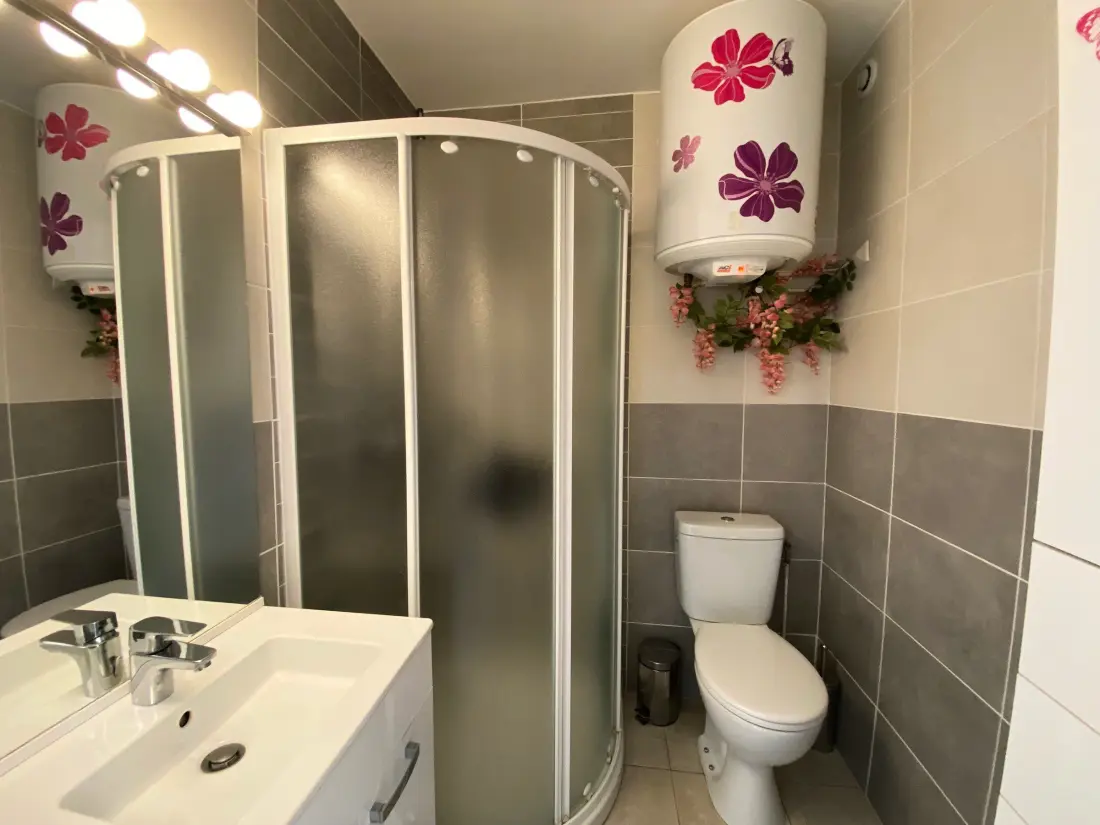 Location de Vacances Balaruc-les-Bains 65