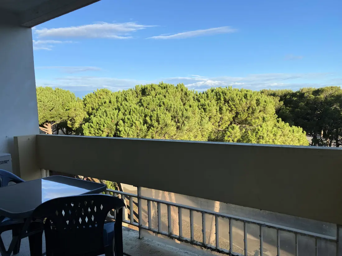Location de Vacances Balaruc-les-Bains 681
