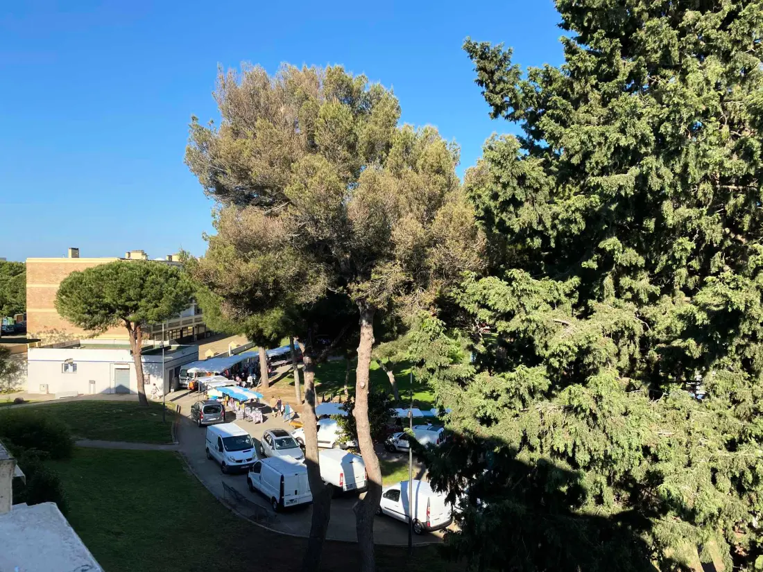 Location de Vacances Balaruc-les-Bains 684