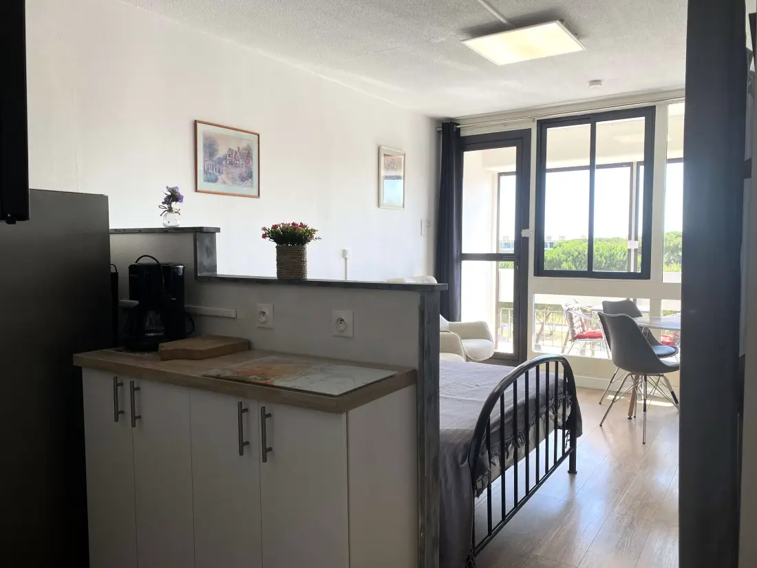 Location de Vacances Balaruc-les-Bains 687