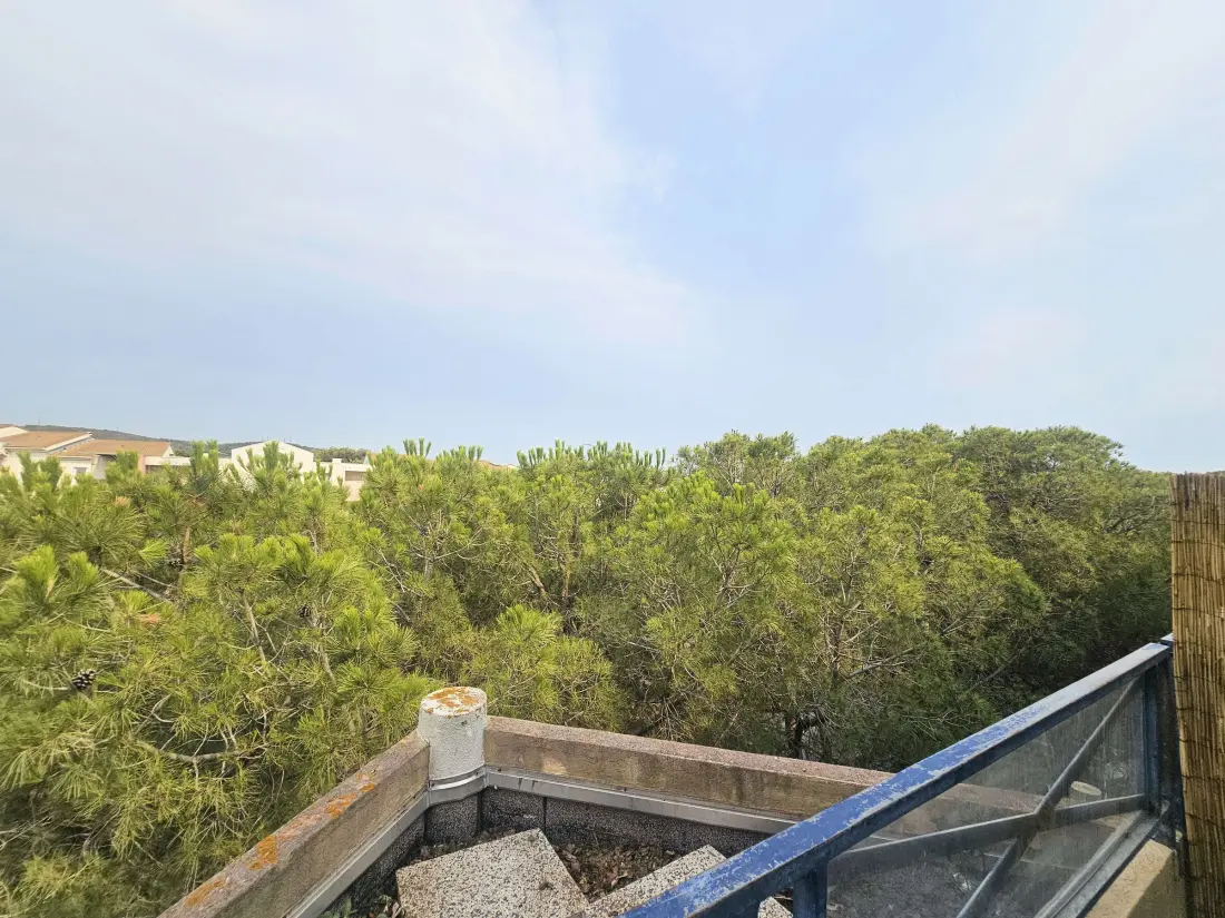 Location de Vacances Balaruc-les-Bains 694