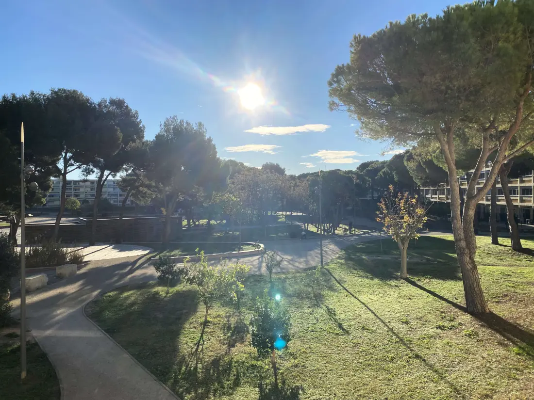 Location de Vacances Balaruc-les-Bains 703