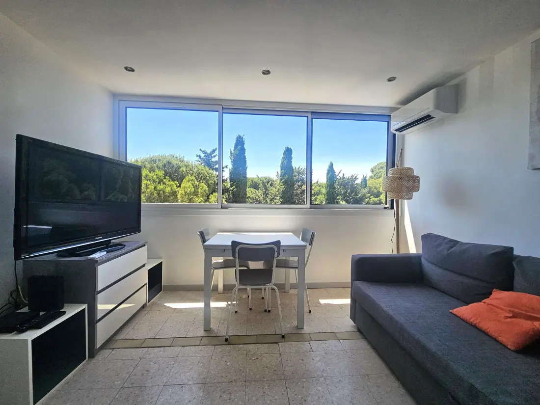 Location de Vacances Balaruc-les-Bains 727