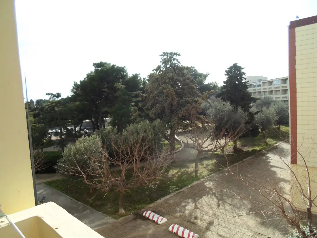 Location de Vacances Balaruc-les-Bains 76