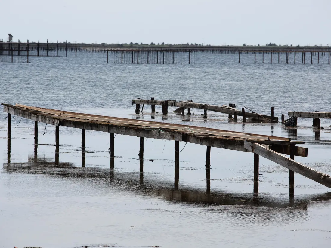 Location de Vacances Balaruc-les-Bains 79