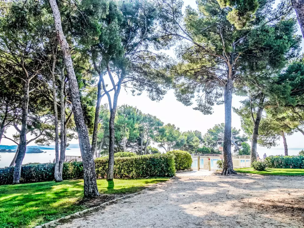 Résidence Athéna Résidence