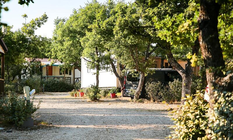 Flower Camping l'Epi Bleu **** - Banon - 4