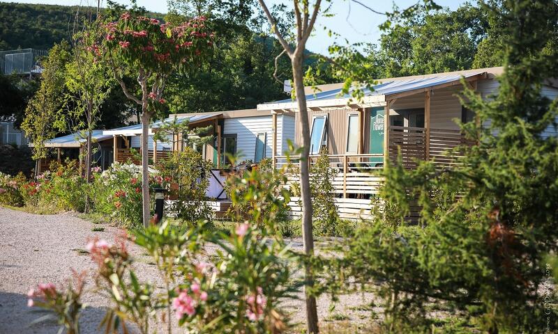 Flower Camping l'Epi Bleu **** - Banon - 7