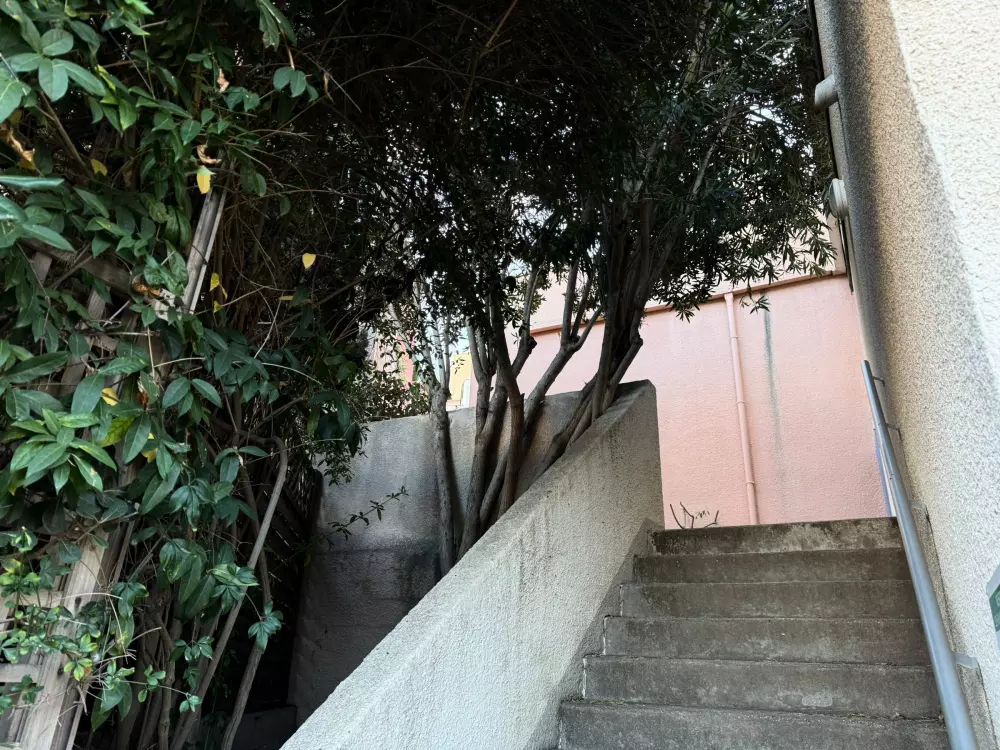 Location de Vacances Banyuls-sur-Mer 19