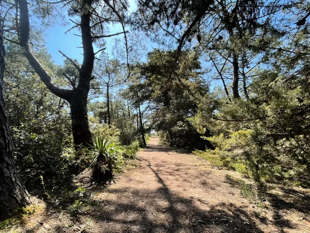 Maison de Vacances BARBATRE 84