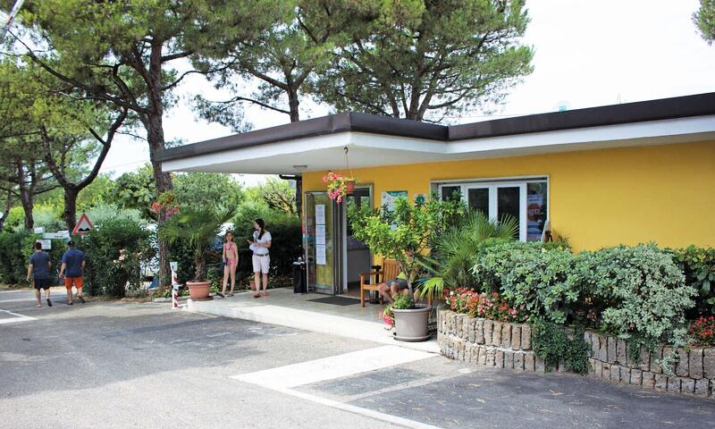 Camping Serenella - Bardolino - 7