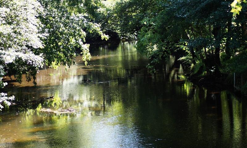 Camping d'Auberoche *** - Bassillac et Auberoche - 18