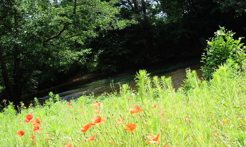 Camping d'Auberoche *** - Bassillac et Auberoche - 16