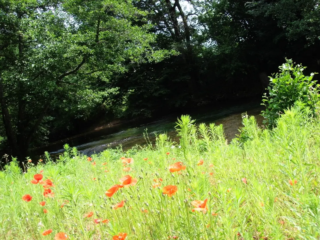 Camping d'Auberoche 3 étoiles★★★