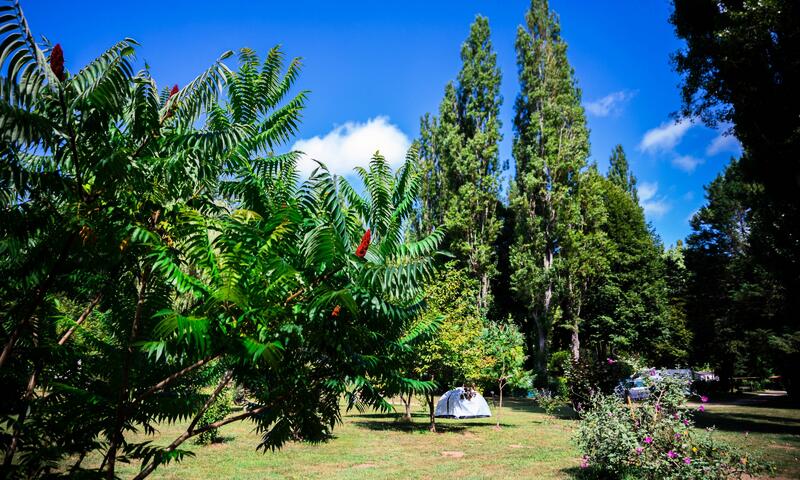 Camping d'Auberoche *** - Bassillac et Auberoche - 3