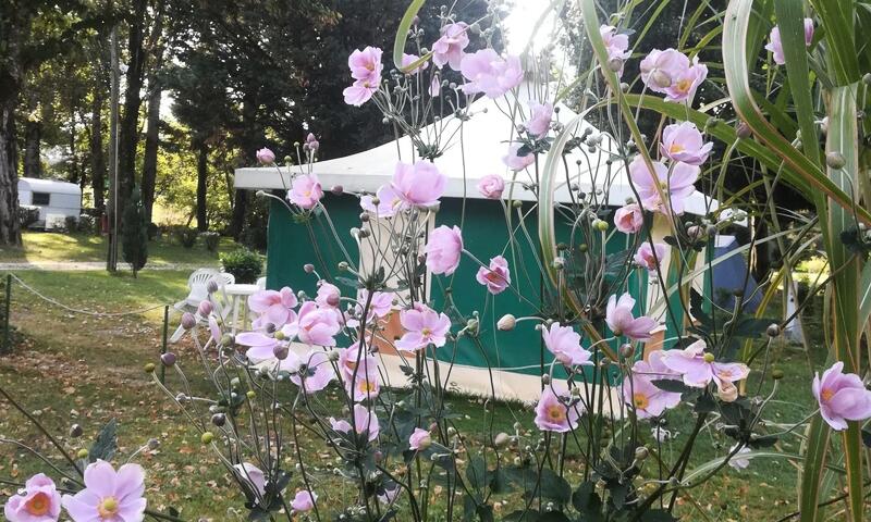 Camping d'Auberoche *** - Bassillac et Auberoche - 7